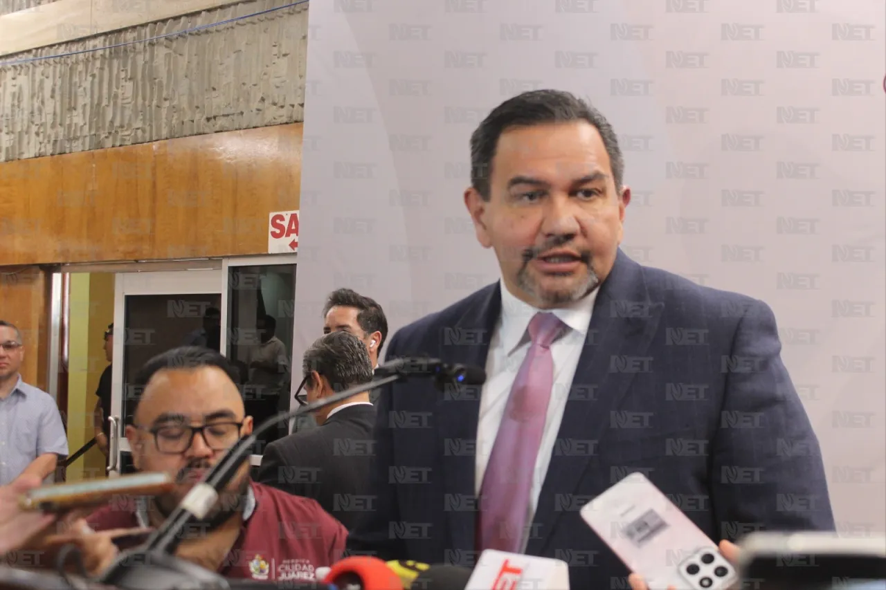 Dámaris Arellanes