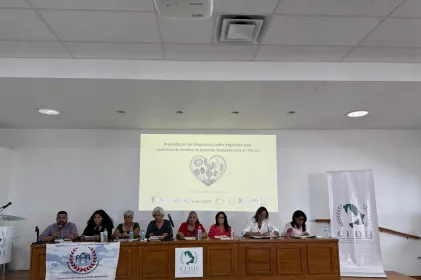 Presentan colectivos riesgos de buscar a sus desaparecidos en México
