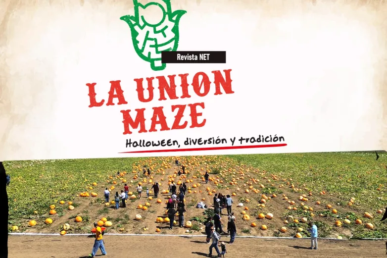 La Union Maze: Halloween, diversión y tradición en la frontera