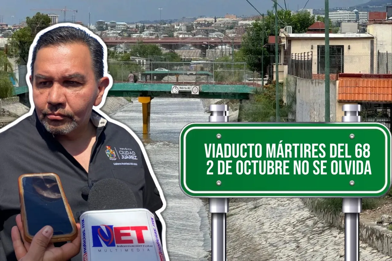 Net Noticias