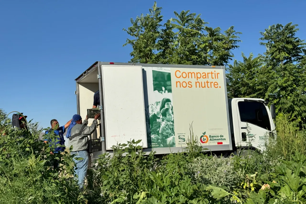 Cortesía