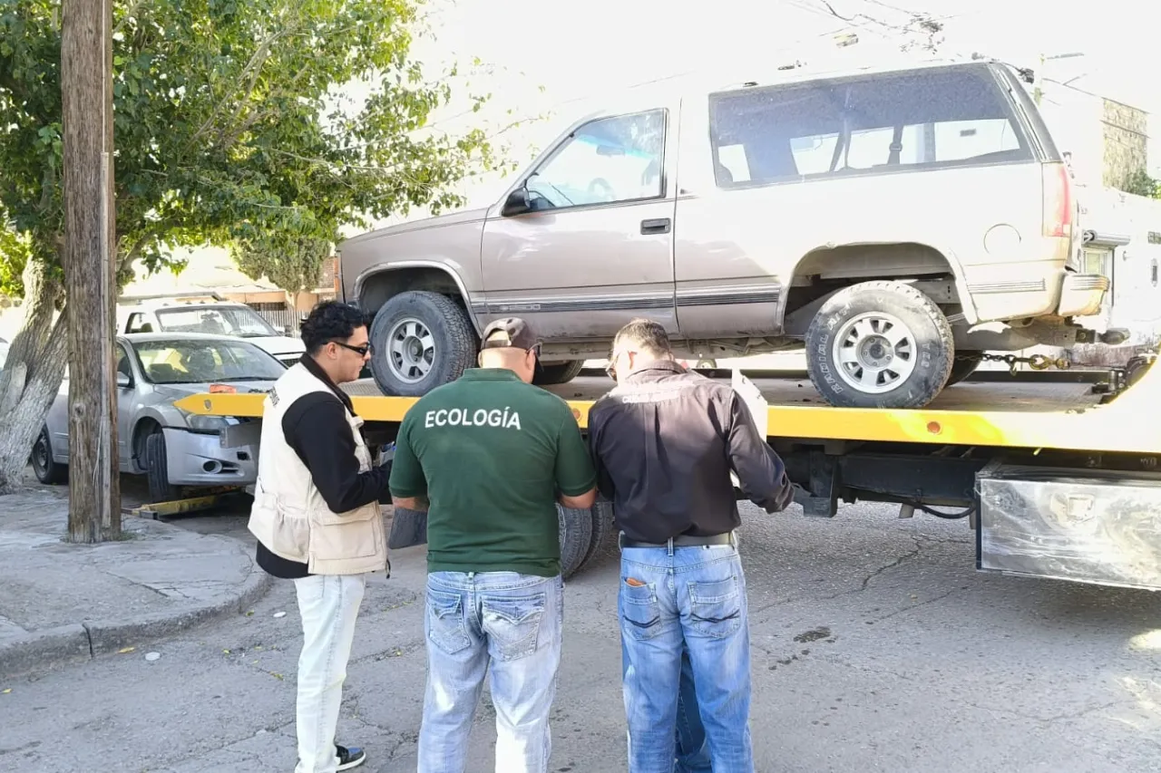 Cortesía