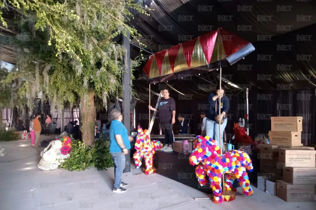 Jazmín Ibarra Trejo