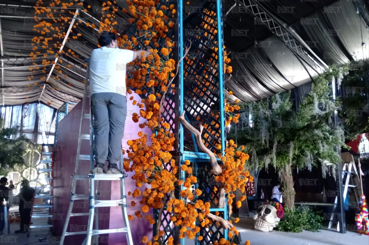 Jazmín Ibarra Trejo