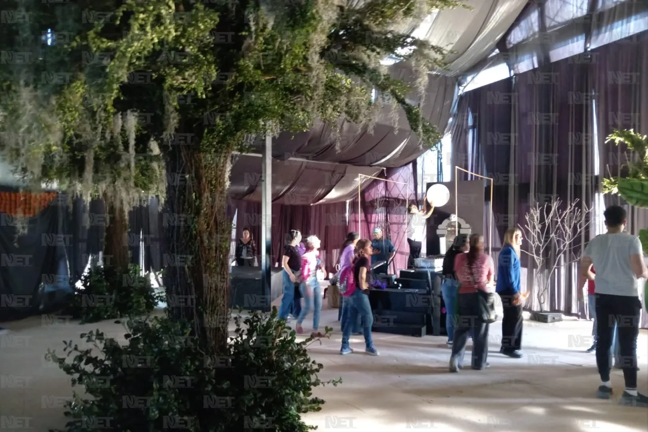 Jazmín Ibarra Trejo