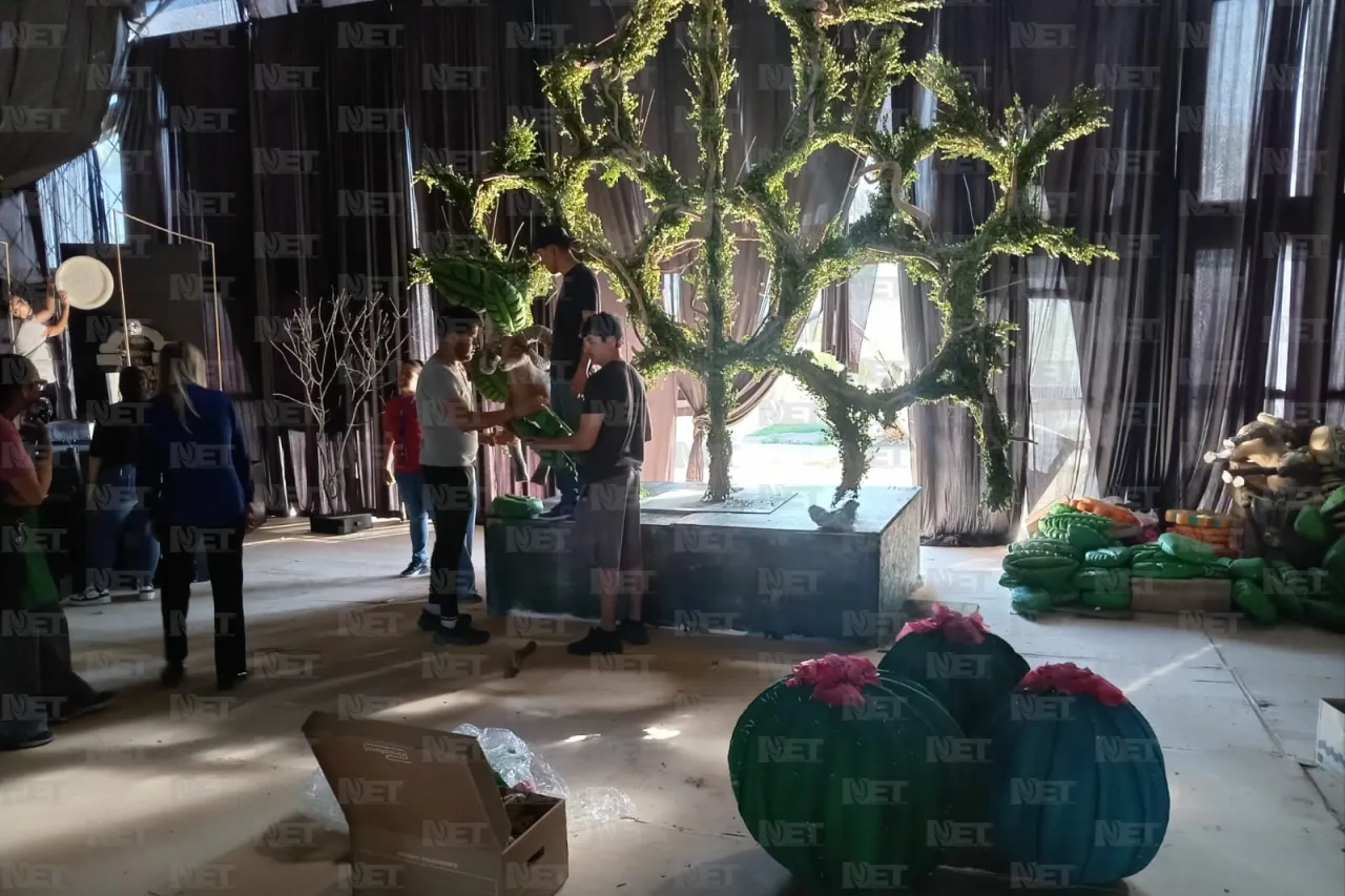 Jazmín Ibarra Trejo