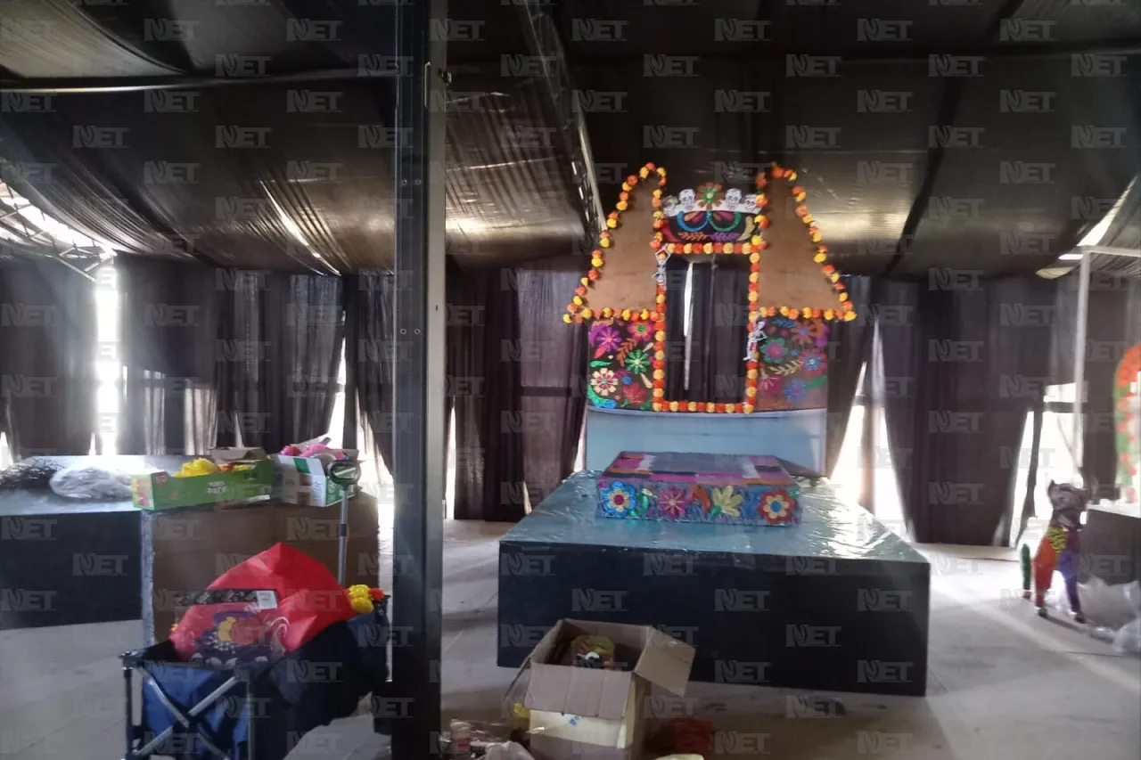 Jazmín Ibarra Trejo