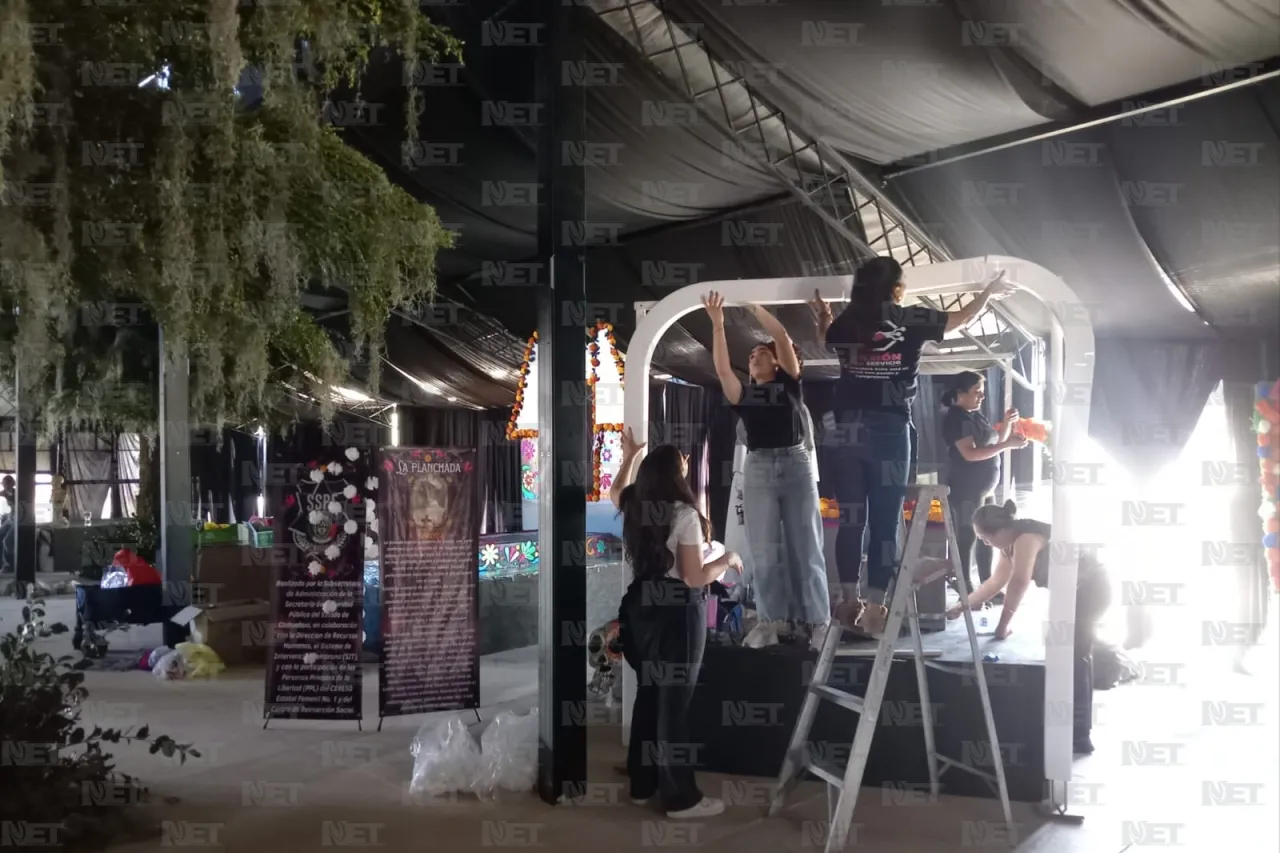 Jazmín Ibarra Trejo