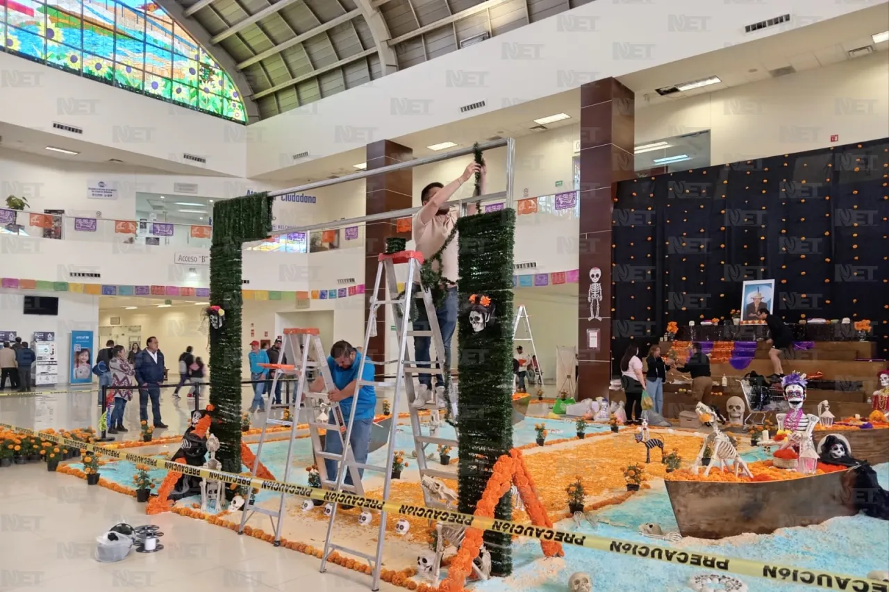 Jazmín Ibarra Trejo