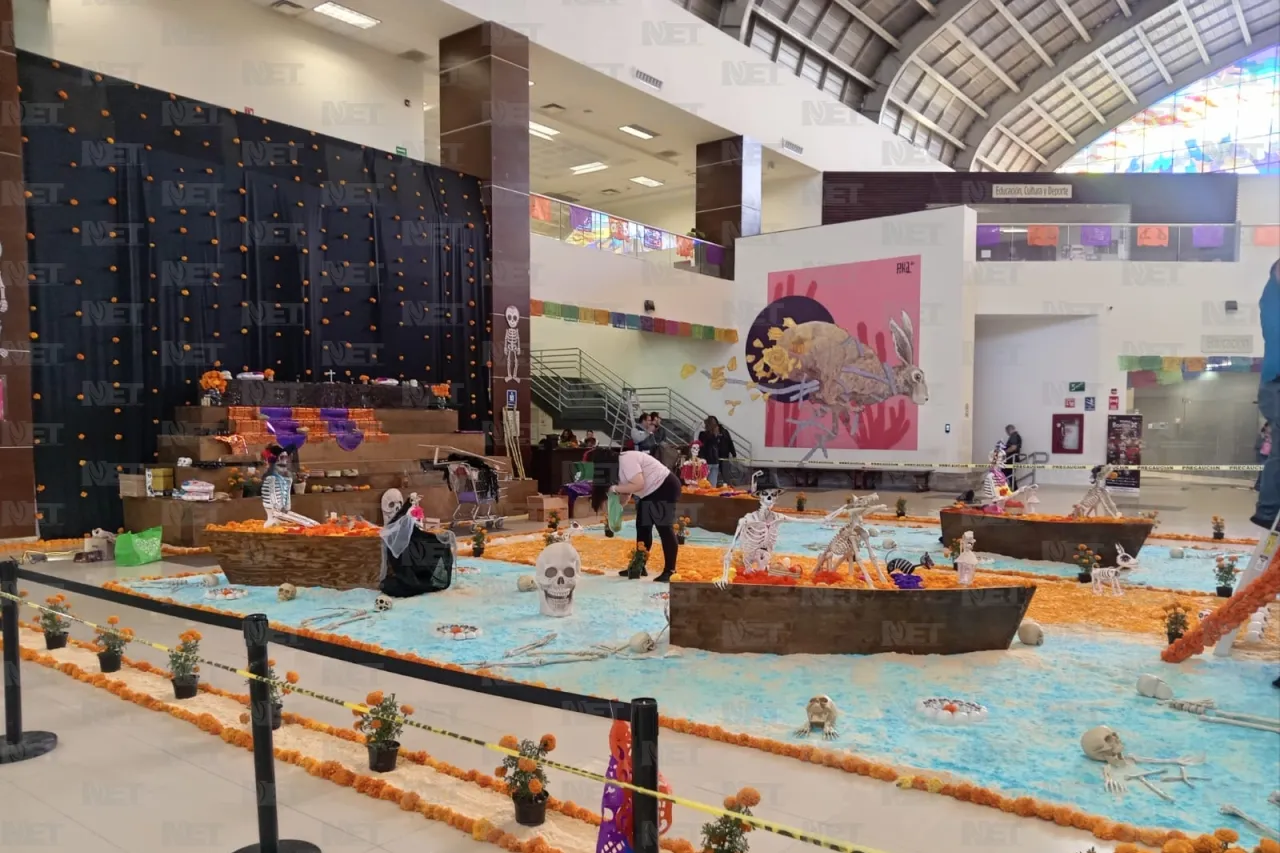 Jazmín Ibarra Trejo