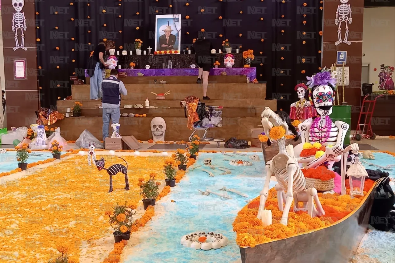 Jazmín Ibarra Trejo