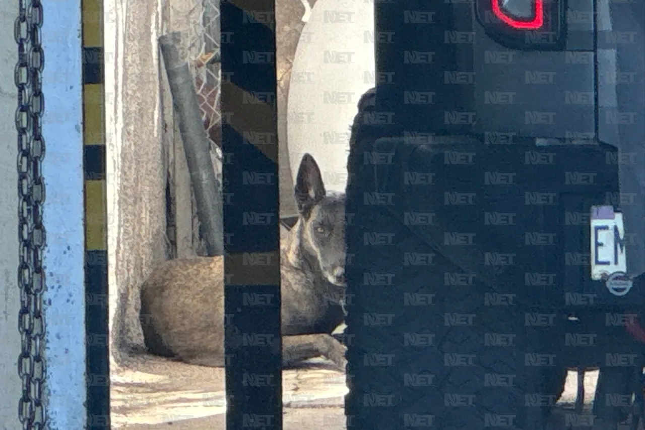 Carlos Sánchez Colunga