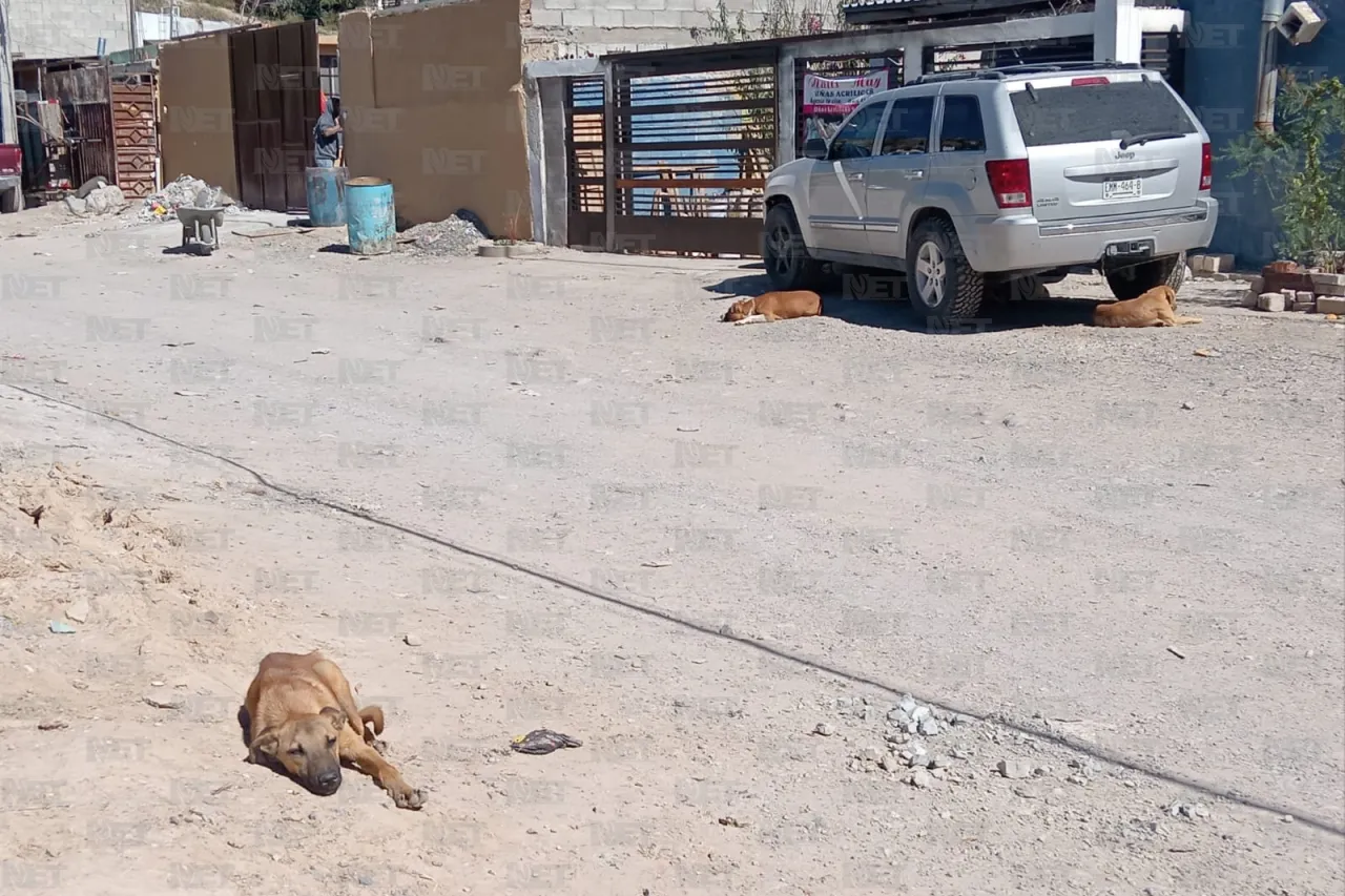 Jazmín Ibarra Trejo