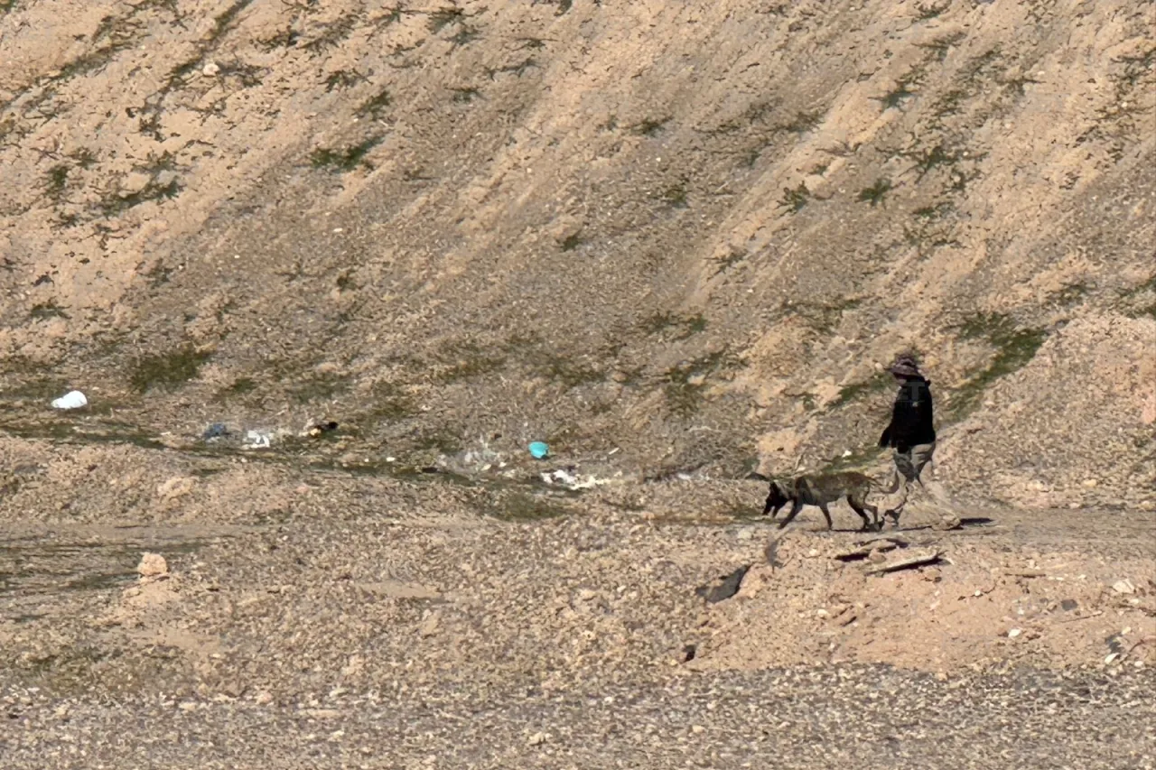 Carlos Sánchez Colunga