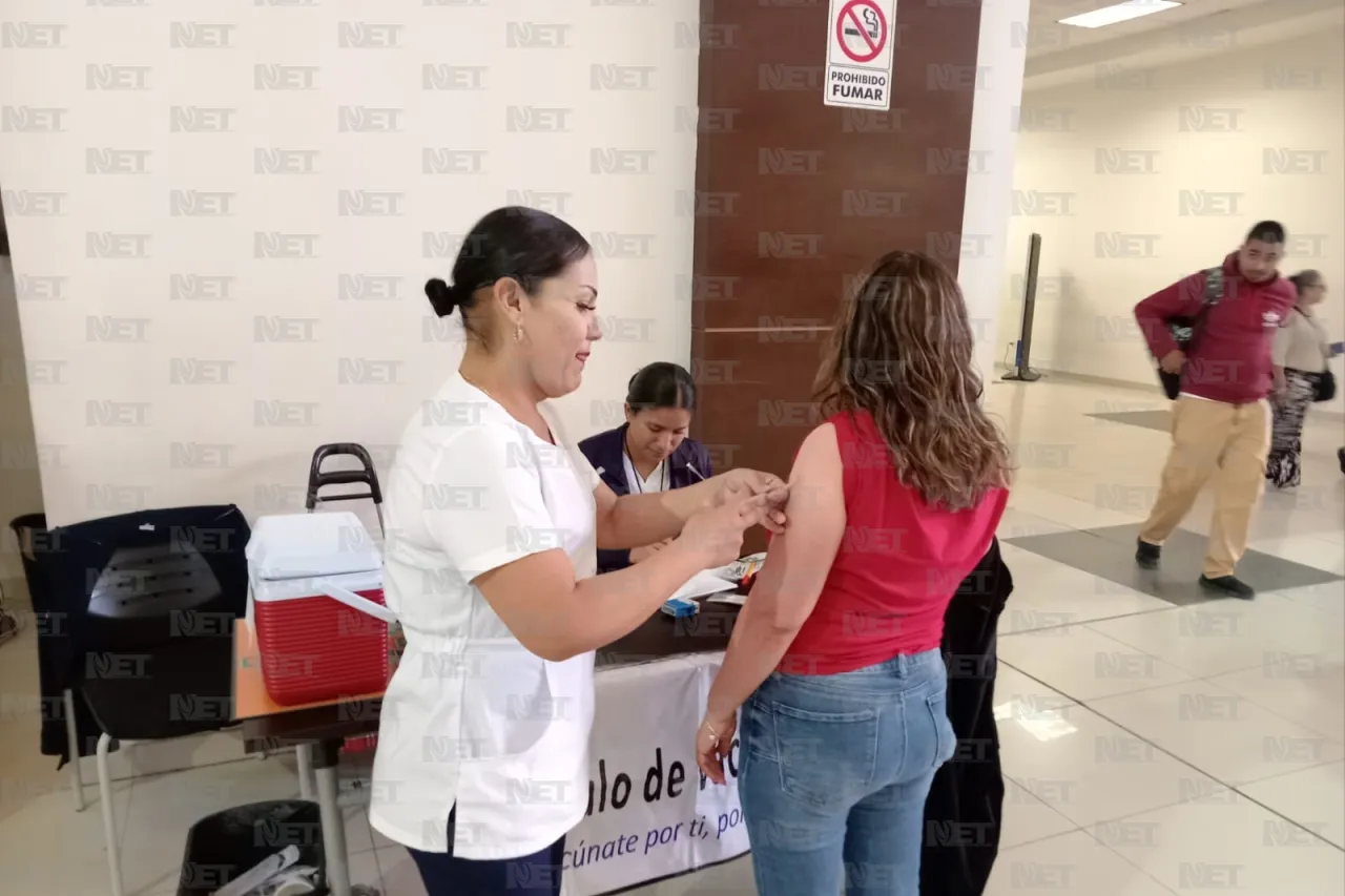 Jazmín Ibarra Trejo