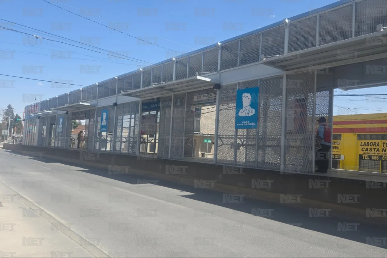 Jazmín Ibarra Trejo