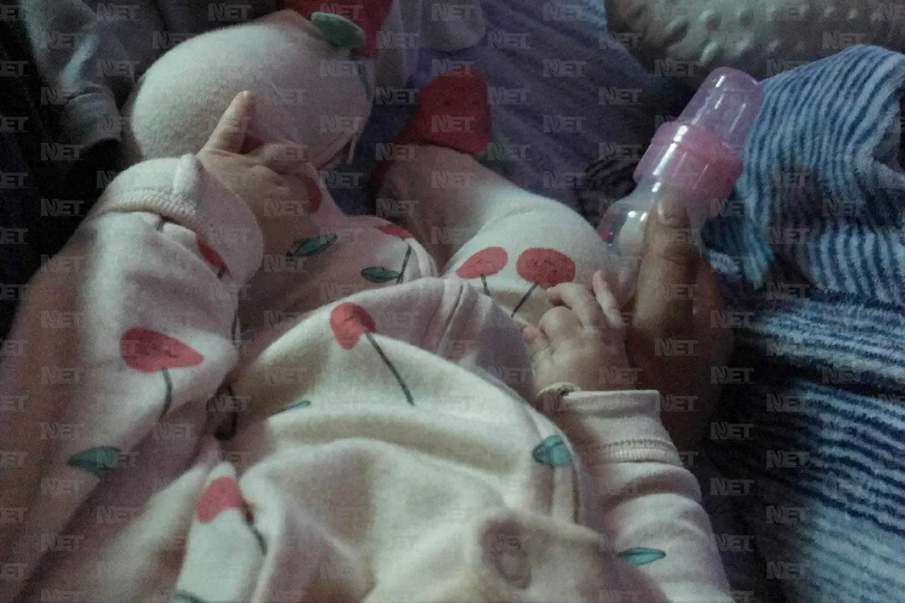 Jazmín Ibarra Trejo