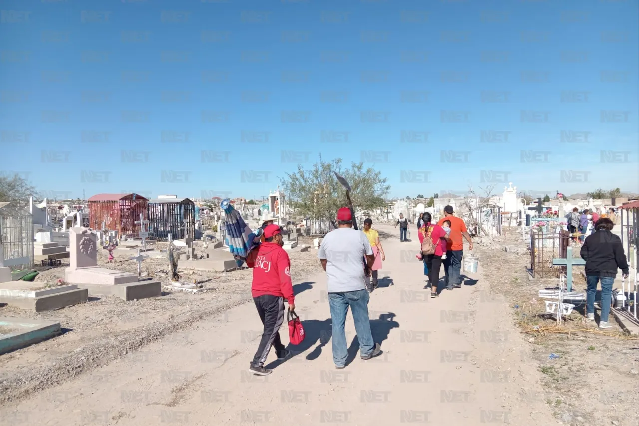 Jazmín Ibarra Trejo