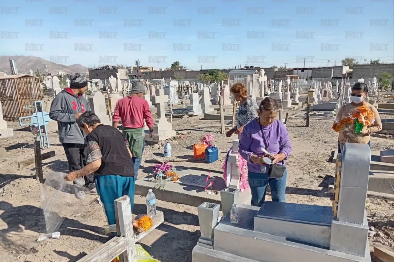 Jazmín Ibarra Trejo