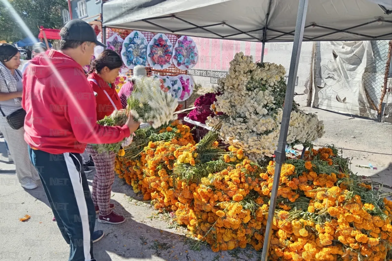 Jazmín Ibarra Trejo