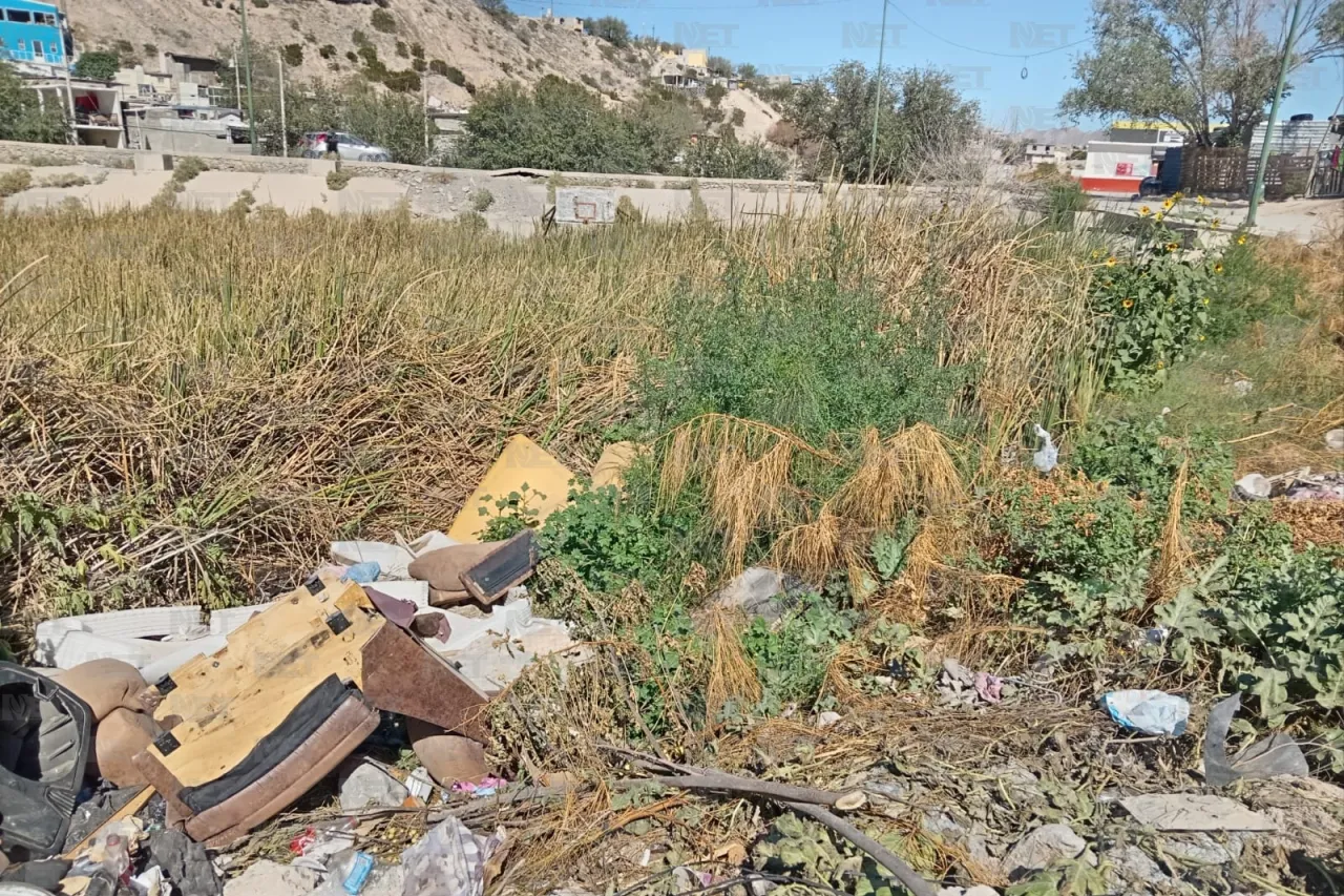 Carlos Sánchez Colunga