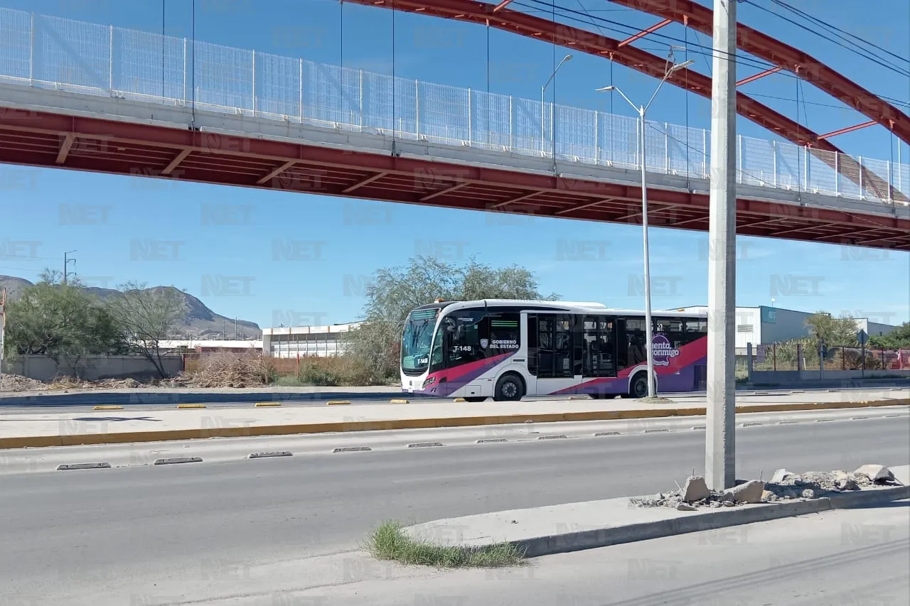 Jazmín Ibarra Trejo