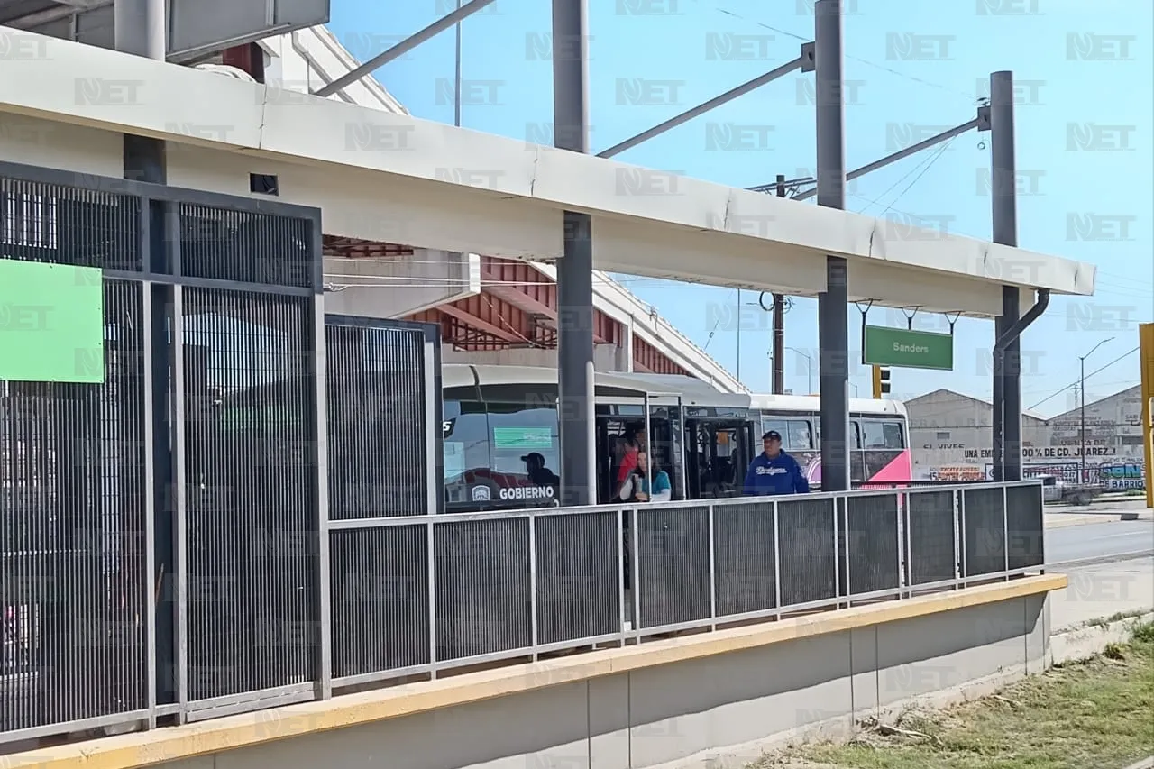 Jazmín Ibarra Trejo