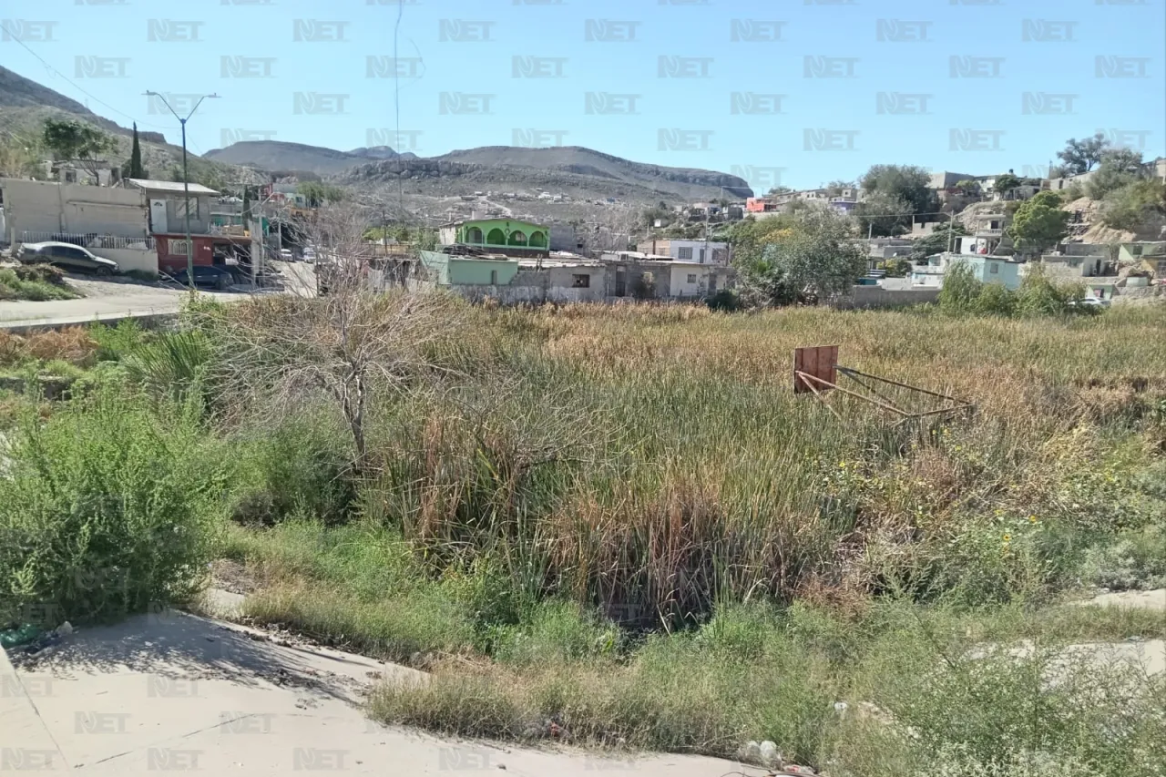 Carlos Sánchez Colunga