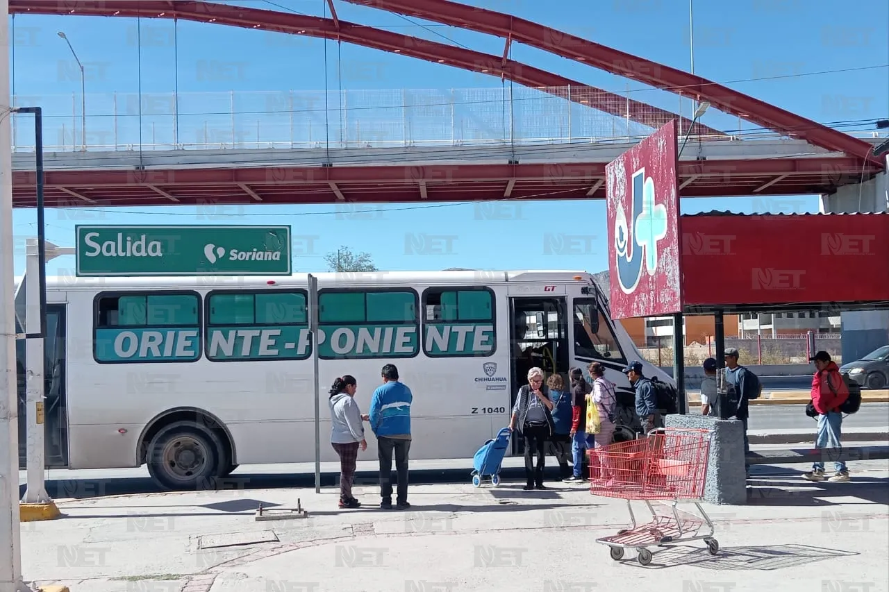 Jazmín Ibarra Trejo