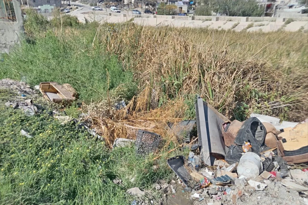 Carlos Sánchez Colunga