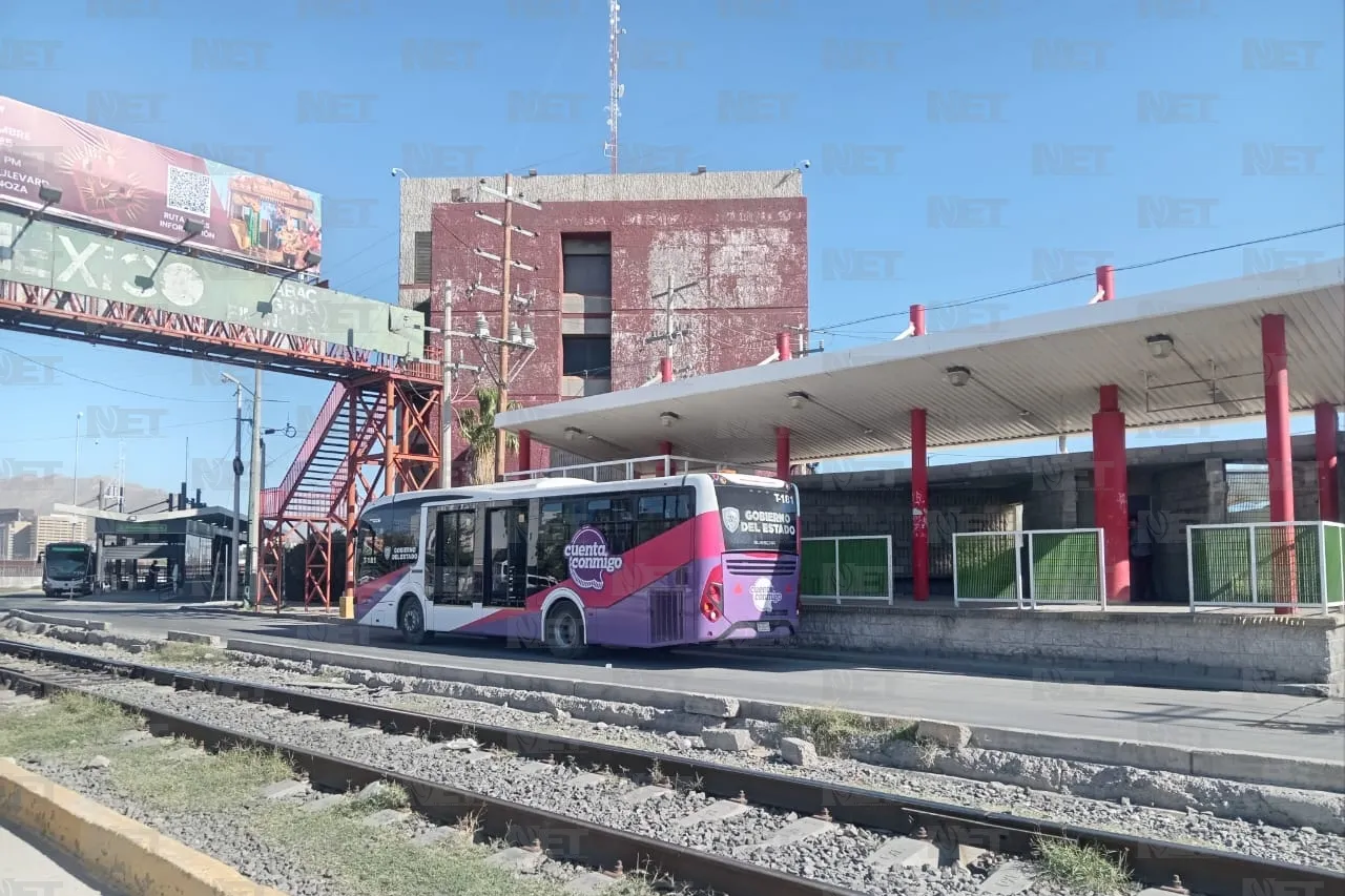 Jazmín Ibarra Trejo