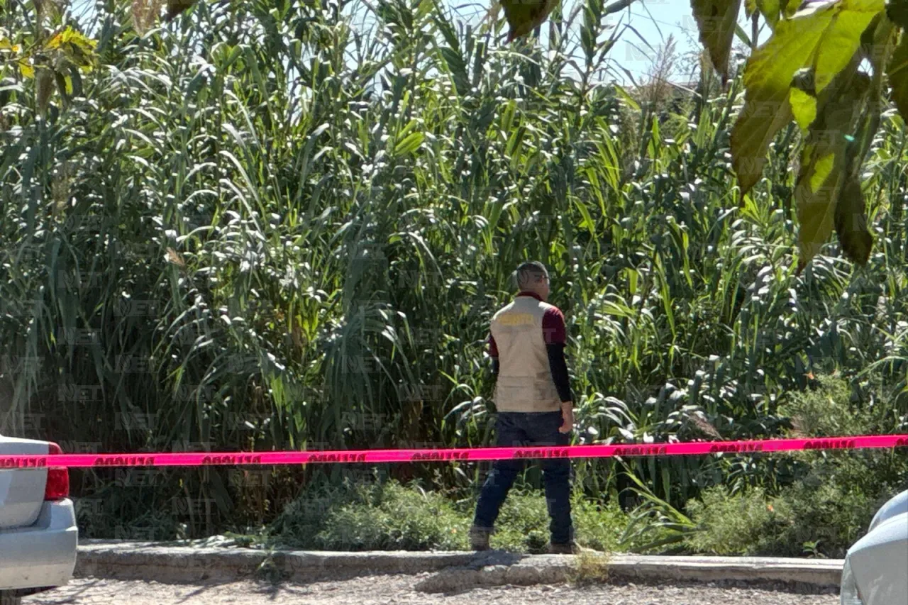 Carlos Sánchez Colunga