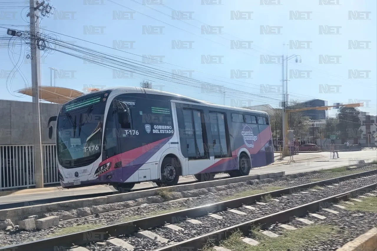 Jazmín Ibarra Trejo