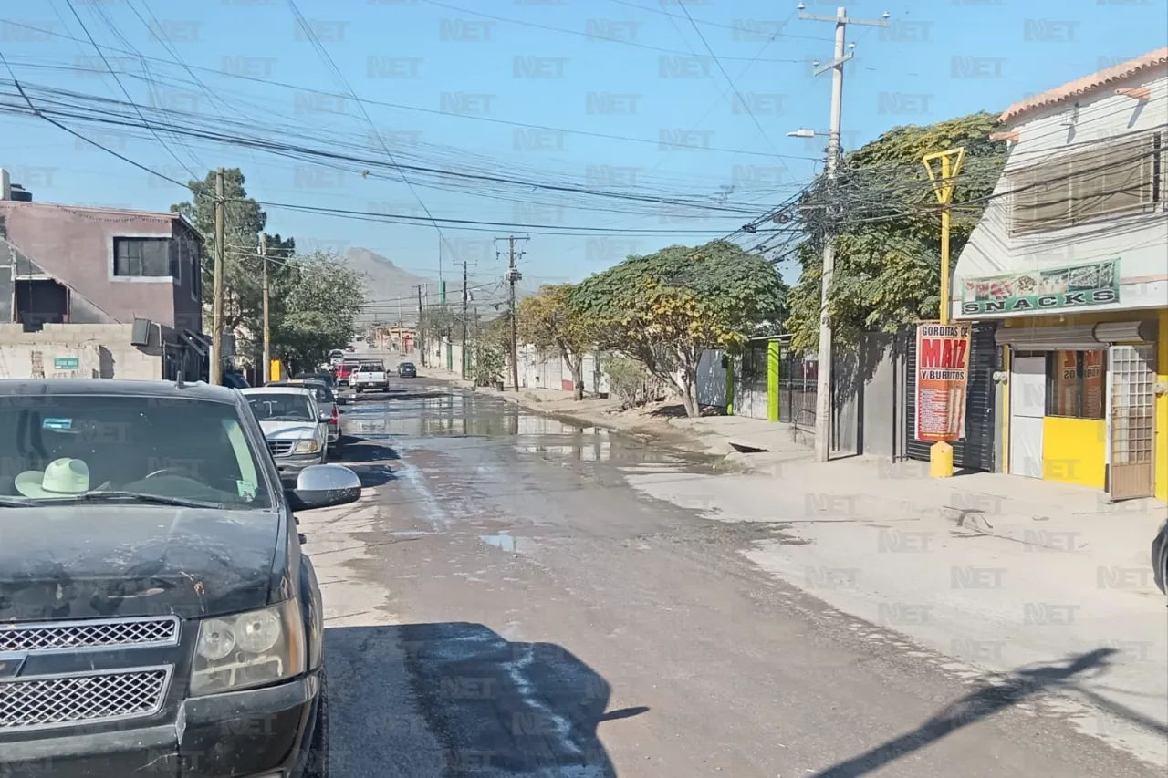 Jazmín Ibarra Trejo