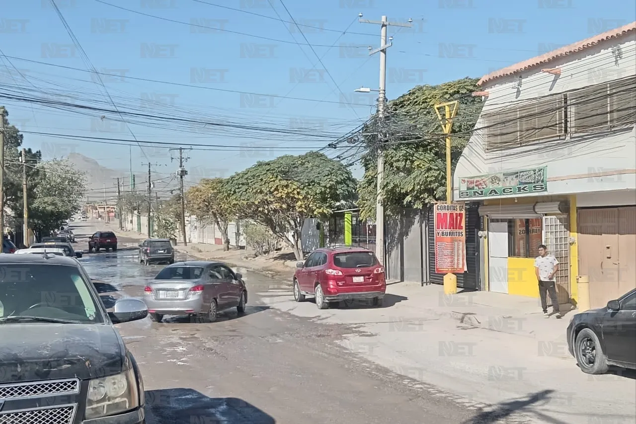 Jazmín Ibarra Trejo