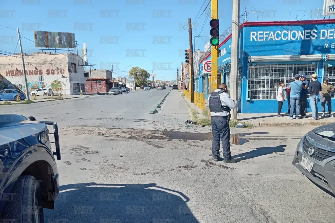 Jazmín Ibarra Trejo