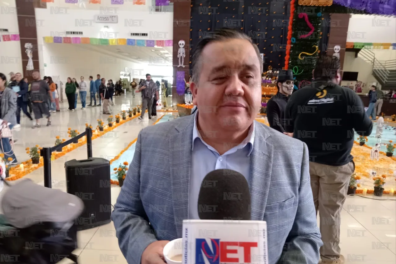 Jazmín Ibarra Trejo