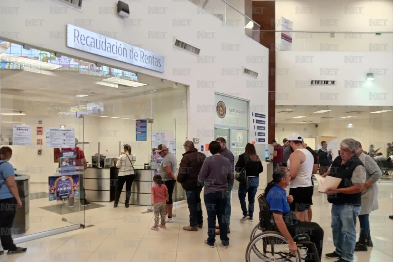 Jazmín Ibarra Trejo