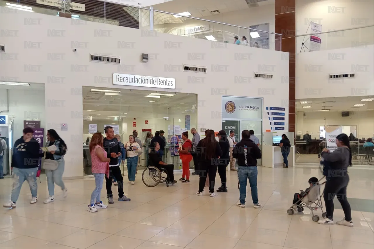 Jazmín Ibarra Trejo