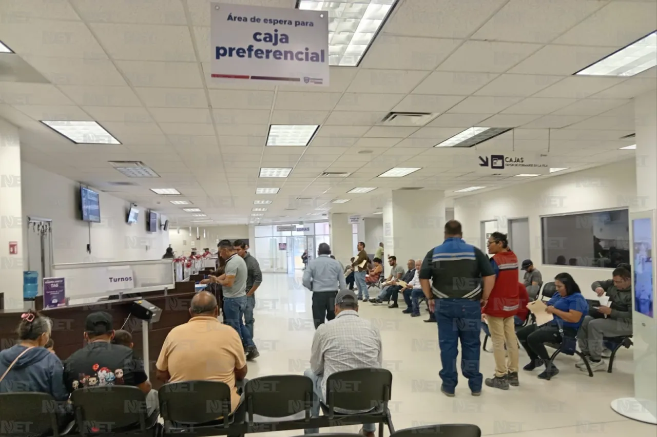 Jazmín Ibarra Trejo