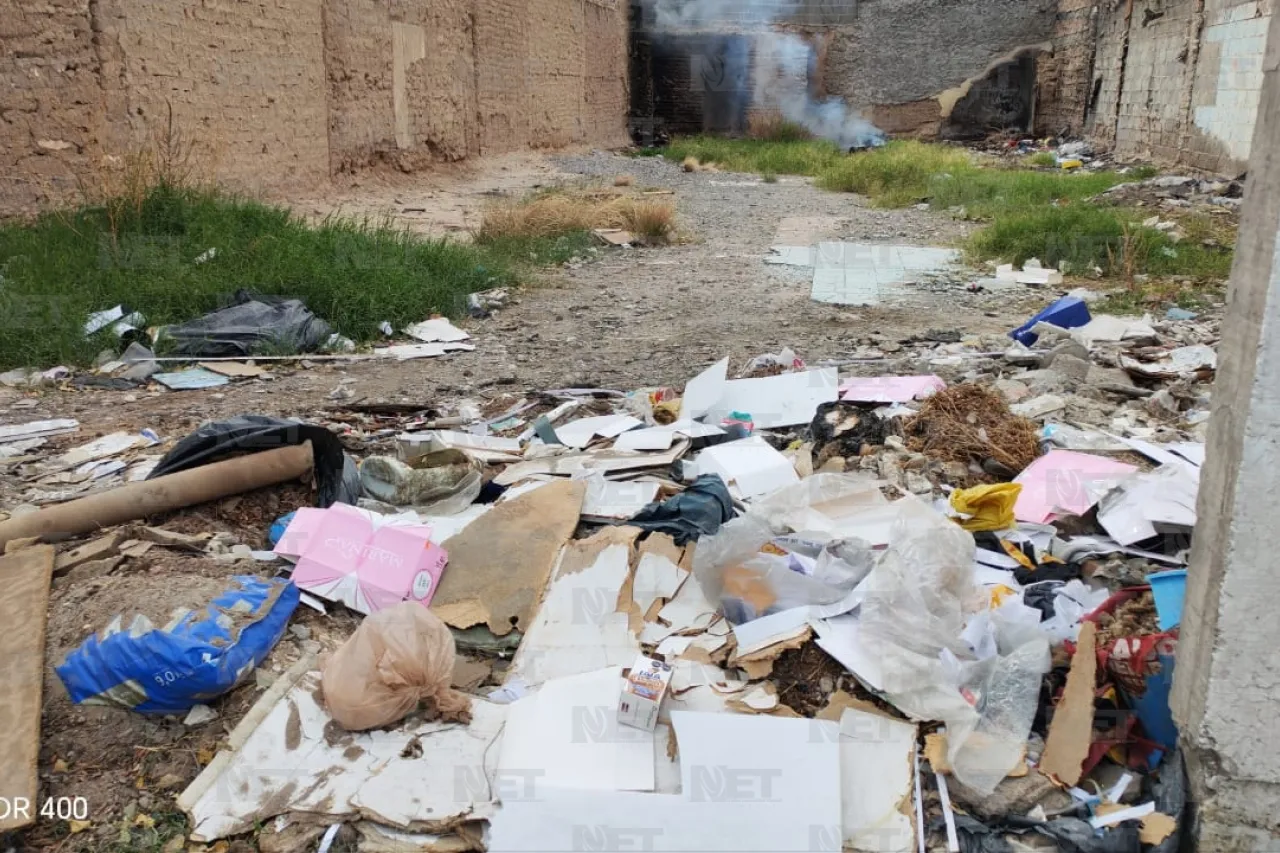 Jazmín Ibarra Trejo