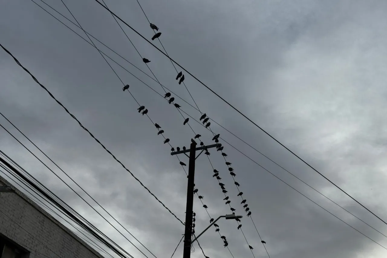 Carlos Sánchez Colunga