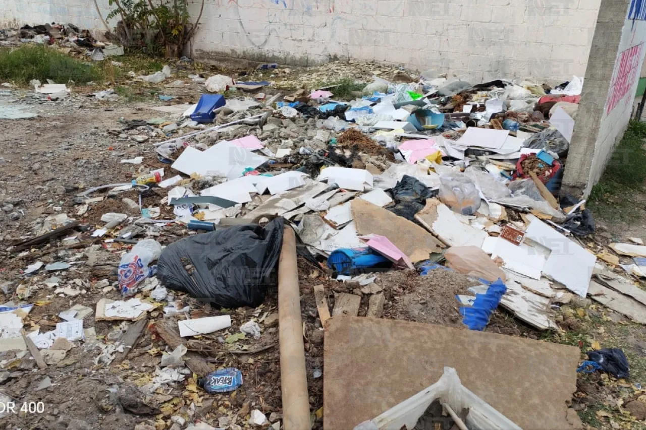 Jazmín Ibarra Trejo