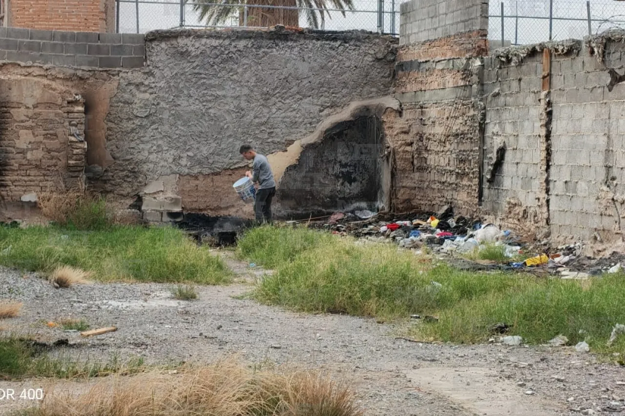 Jazmín Ibarra Trejo