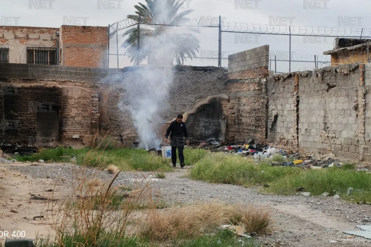 Jazmín Ibarra Trejo