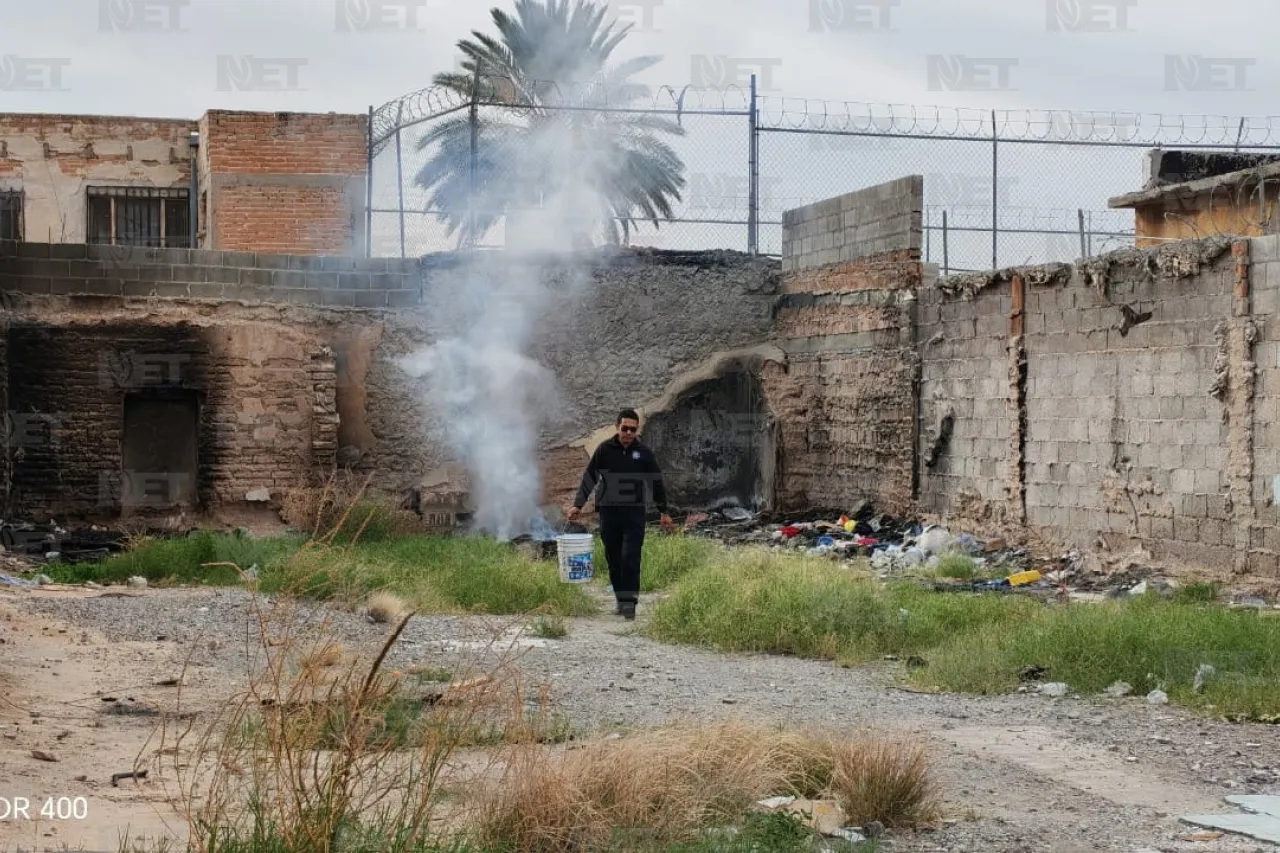 Jazmín Ibarra Trejo