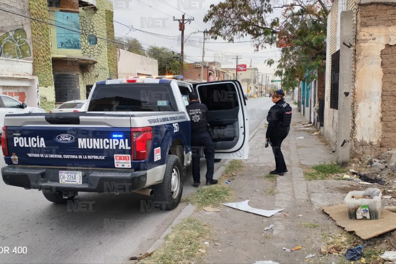 Jazmín Ibarra Trejo