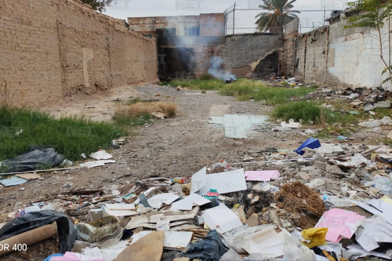 Jazmín Ibarra Trejo