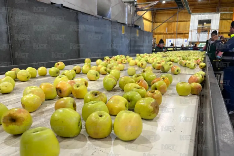 Gracias a Balam, viajan Manzanas El Indio a México y Centroamérica