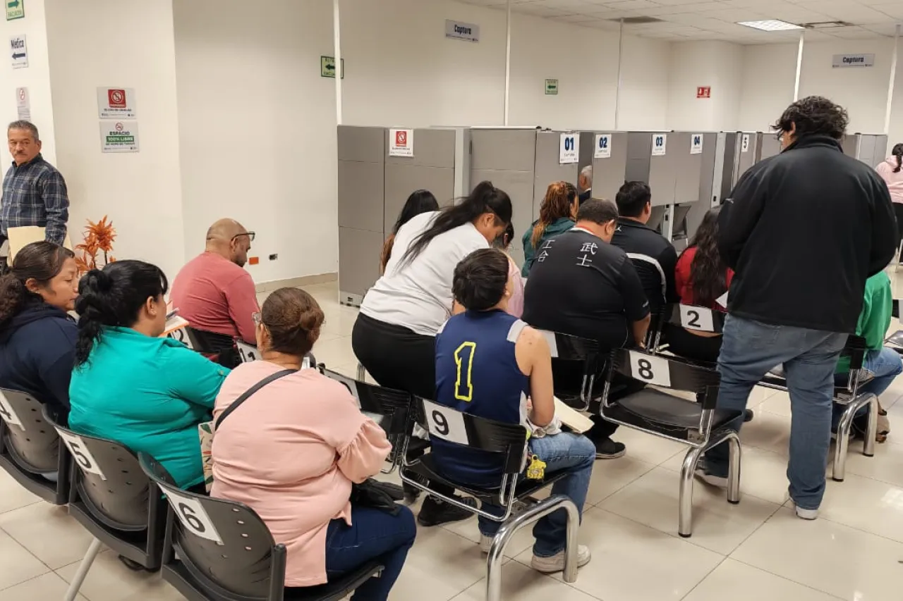 Jazmín Ibarra Trejo